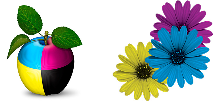 apple and flowers in various colors