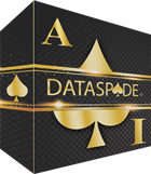 Dataspade